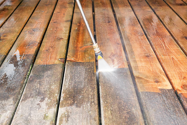 Animal Enclosure Cleaning in Mannington, WV